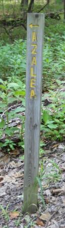 File:BMP Azalea Trail sign at BMR.JPG