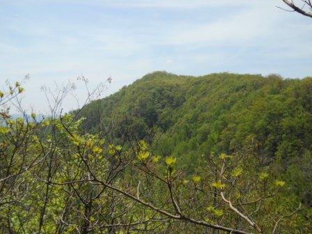 File:BMP Cliffside Trail lower overlook.JPG