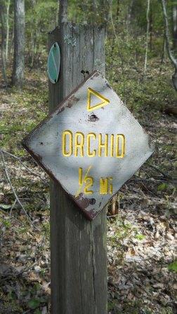File:BMP Orchid Trail sign.JPG