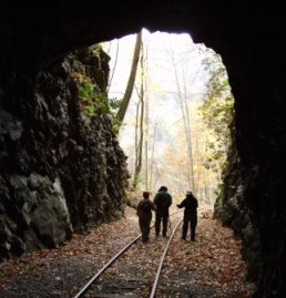 File:Doe River Gorge Tunnel -2008.jpg