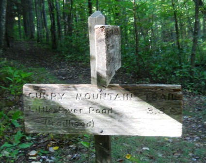 File:GSMNP Curry Mountain Trail upper end.JPG
