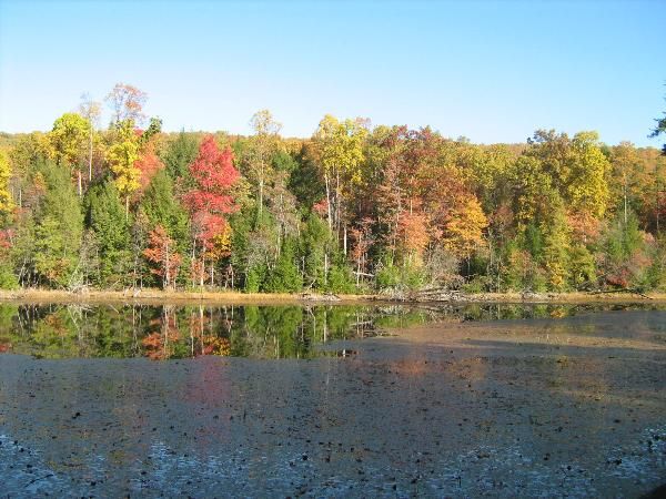 File:Lakeside Trail - former aviary area.jpg