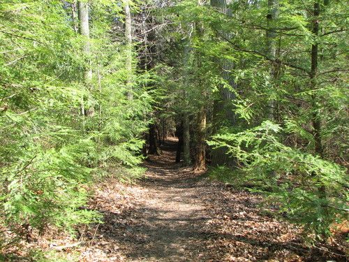 File:Lakeside trail - evergreen grove.jpg