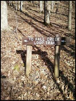 File:To Fall Creek Loop Trail.jpg