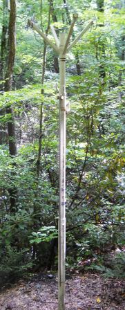 File:Watauga Lake Shelter bear pole.JPG