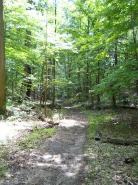 BMP Azalea Trail.JPG