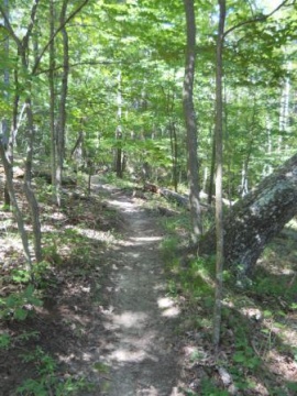 BMP Chinquapin Trail.JPG