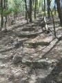 Older steps up Cliffside Trail