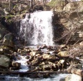 BMP Dolan Branch Trail waterfall.JPG