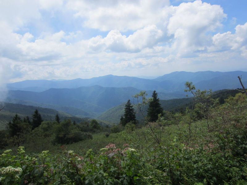 File:Black Mountains Photos 09 View From Celo Knob Meadow.jpg