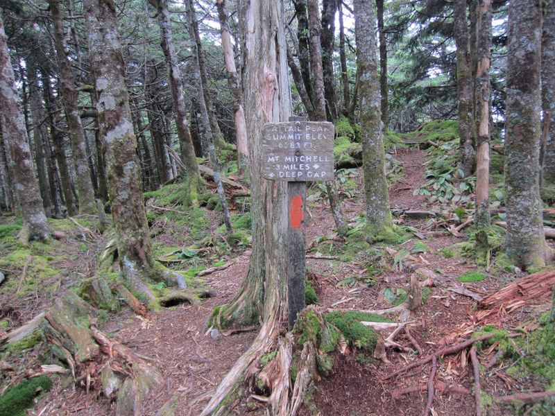 File:Black Mountains Poi 04 Cattail Peak False Summit Sign.jpg