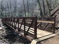 Catawba Falls Trail - Chestnut Branch footbridge.jpg