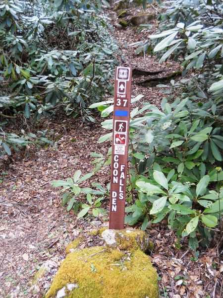 File:Coon Den Falls Trail - bottom trailhead sign.jpg
