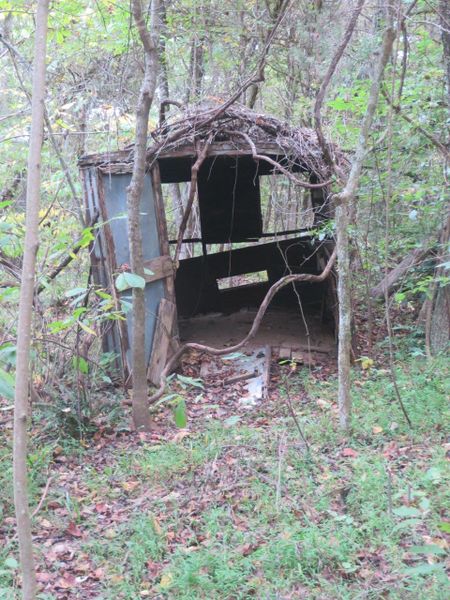 File:Devils backbone shed near standing cabin.jpg
