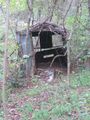 Devils backbone shed near standing cabin.jpg