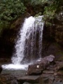 GSMNP Grotto Falls3.JPG.JPG