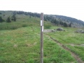 The post at AT & Grassy Ridge Trail split