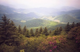 GrassyRidge View.jpg