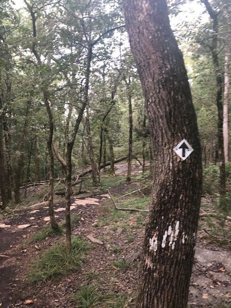 File:Hiking Trail Marker.jpg