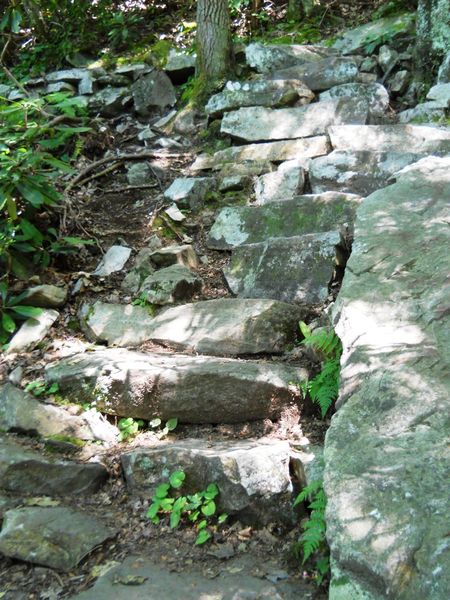 File:Laurel Fork Gorge steps.JPG