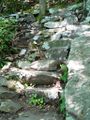 Laurel Fork Gorge steps.JPG