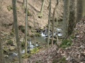 Laurel Run Trail creek.jpg