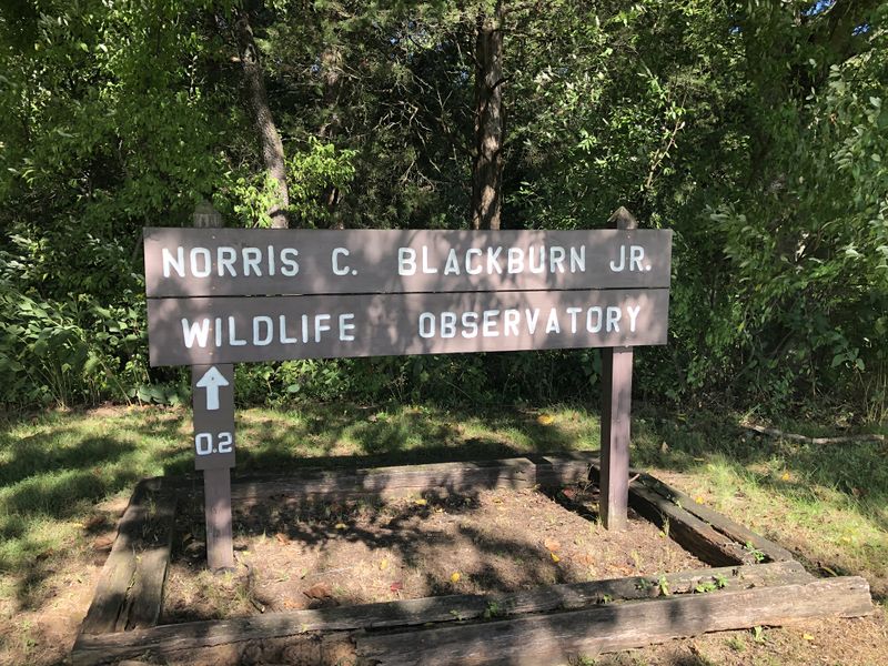 File:Norris Blackburn Trail Banner.jpg