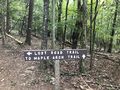 PCSP Lost Road Trail - another trail junction sign.JPG