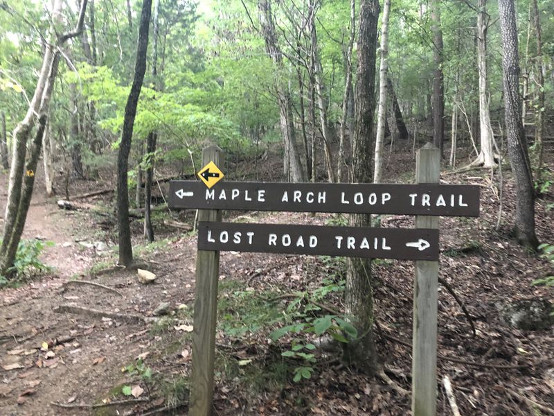 File:PCSP Lost Road Trail - first junction with Maple Arch Trail.JPG