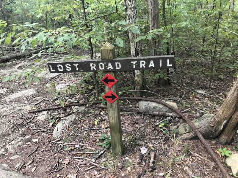 File:PCSP Lost Road Trail - trail junction sign.JPG