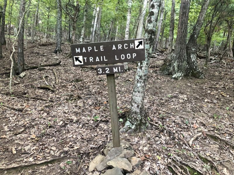 File:PCSP Maple Arch Trail - sign at loop split.JPG
