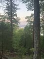 View of Cherokee Lake thru trees