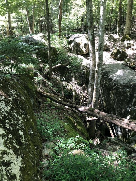 File:PCSP Seven Sinkholes Trail - Sinkhole 1.JPG