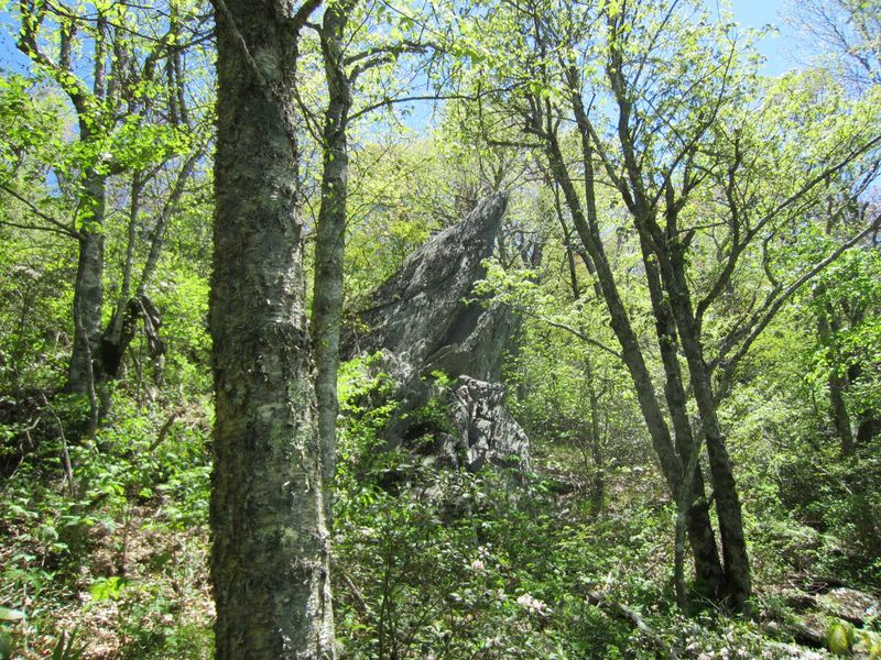 File:PRD Cold Mountain Rock Formation.jpg