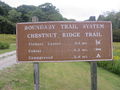 Roan Chestnut Miller Trail head.jpg