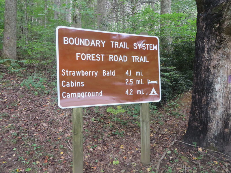 File:Roan Forest Road Trail Head at Visitors Center.jpg