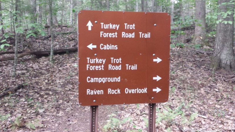 File:Roan Forest Road and Turkey Trot.jpg