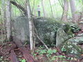 Roan Fred Behrend large rock.jpg