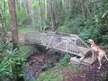 Roan Fred Behrend stream bridge.jpg