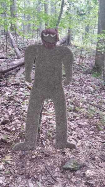 File:Roan Mystery Mountain Trail Monster.jpg