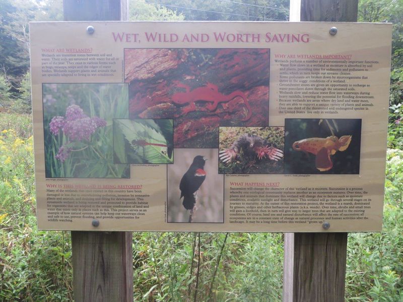 File:Roan sign about the wetlands.jpg