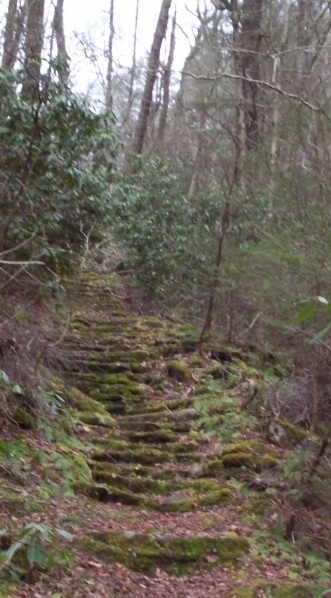 File:Roaring Branch Trail - stone steps.JPG