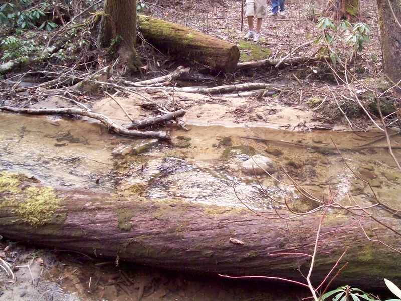 File:Roaring Branch Trail - wide creek crossing.JPG