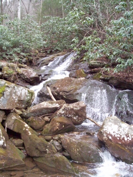File:Roaring Branch waterfall.JPG