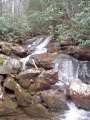 Roaring Branch waterfall.JPG
