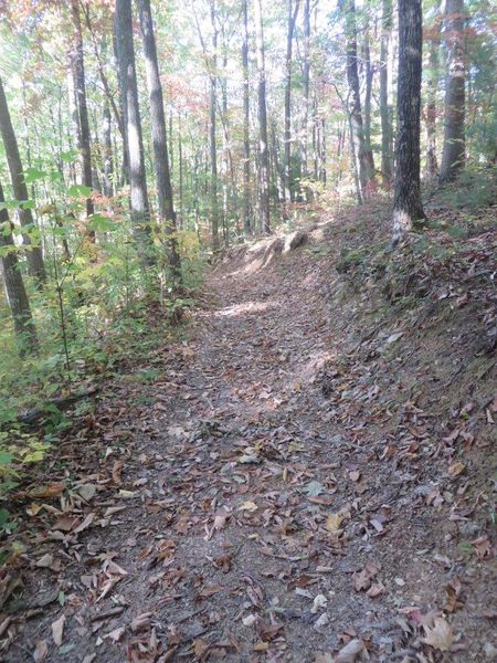File:Rogers Ridge Trail View 1.jpg