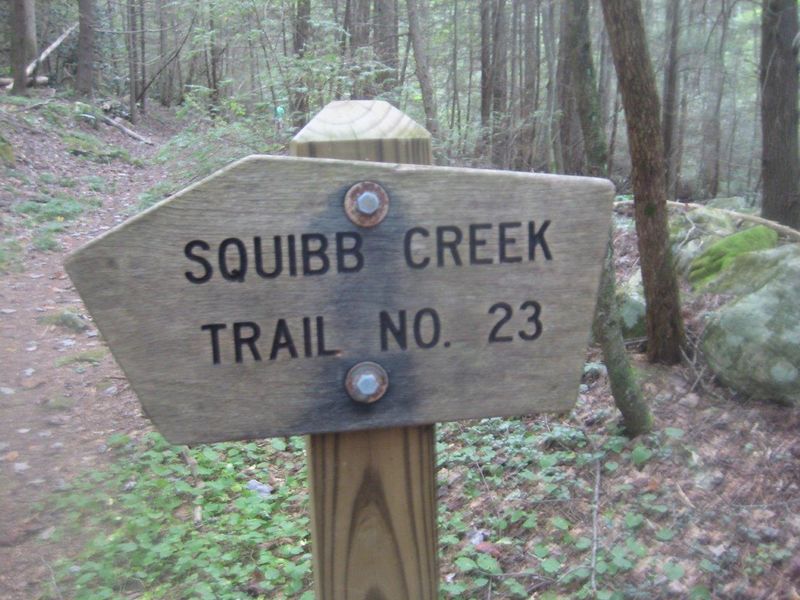 File:Squibb Creek Sign.jpg