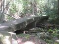 A trail bridge along Squibb Creek