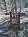To D Backbone Trail.jpg