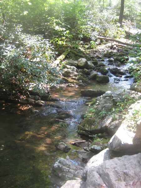 File:View of Squibb Creek.jpg